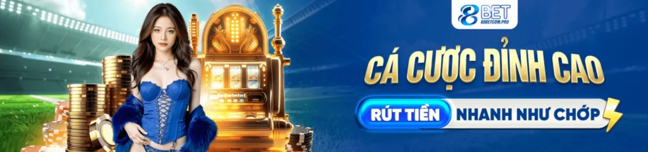 Biểu đồ minh họa các nguyên tắc cốt lõi của GDPR tại ứng dụng 88nn